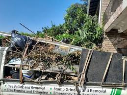 Best Yard Waste Removal  in Hanapepe, HI