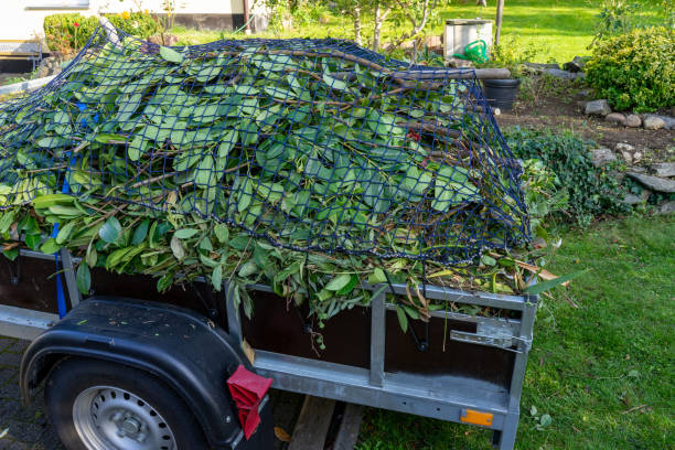 Best Recycling Services for Junk  in Hanapepe, HI